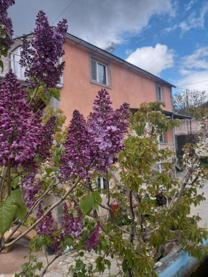 Byurakan Guesthouse & Cottage Kültér fotó